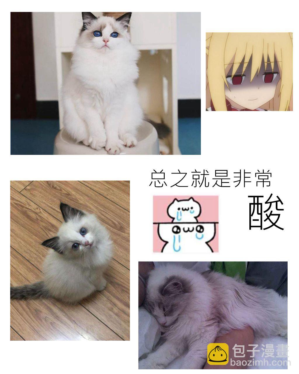 《ibenz009 transformation》11月18日更新 第5页