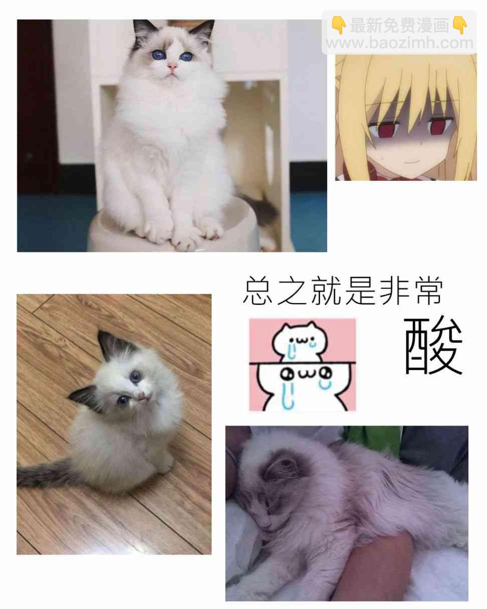 《ibenz009 transformation》赛勃朋克2077 第5页