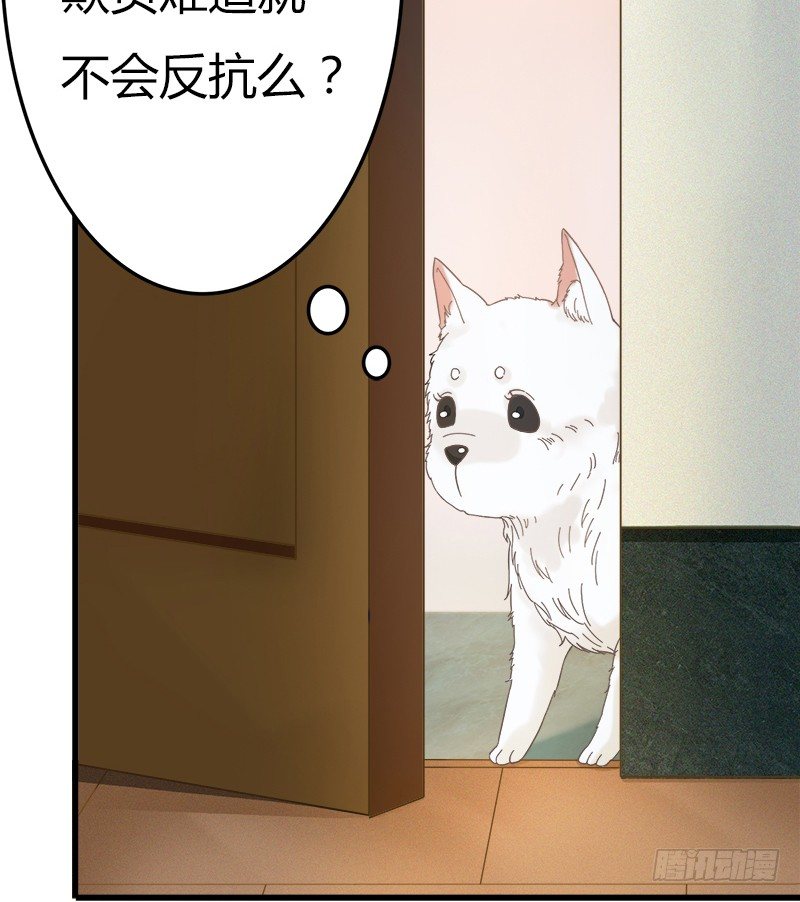 《现世情人是尾狐》被欺凌=我的生活 第27页