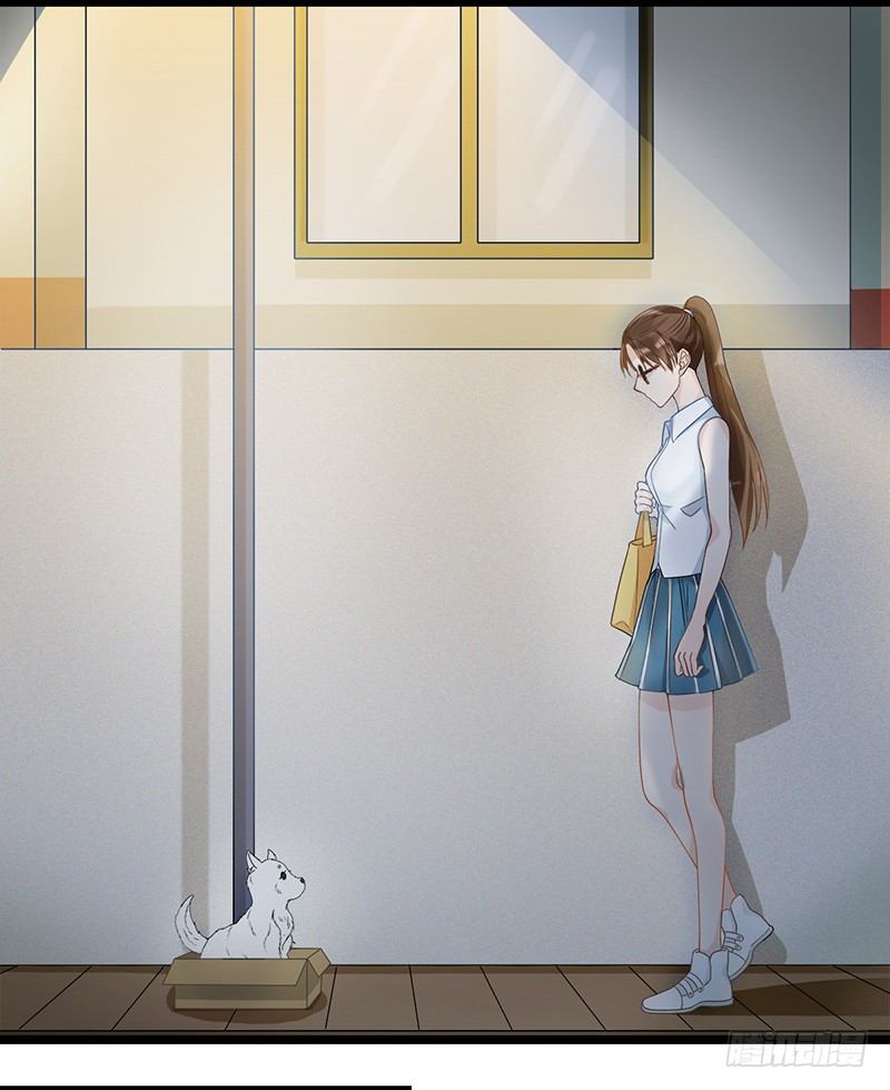 《现世情人是尾狐》阴郁女和流浪狗 第40页