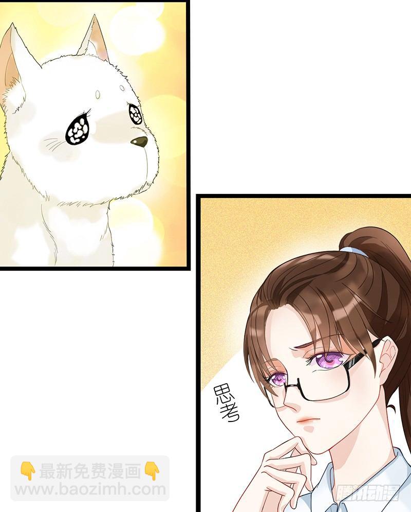 《现世情人是尾狐》阴郁女和流浪狗 第41页