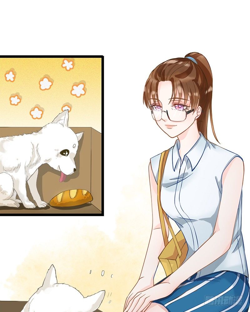 《现世情人是尾狐》阴郁女和流浪狗 第44页