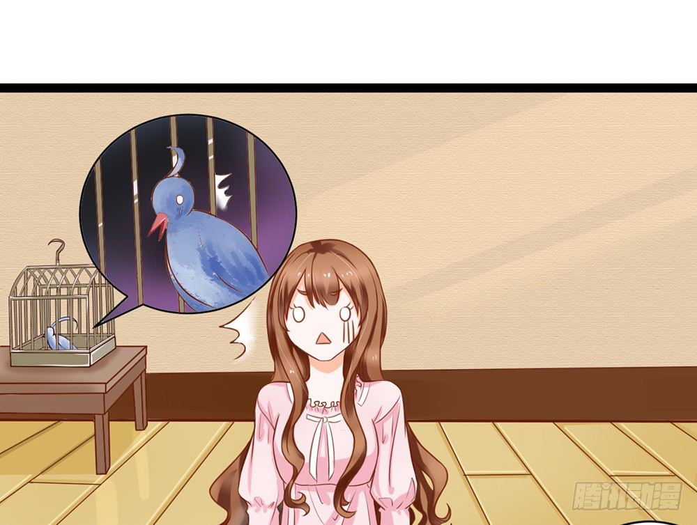 《现世情人是尾狐》约会的邀请？ 第48页