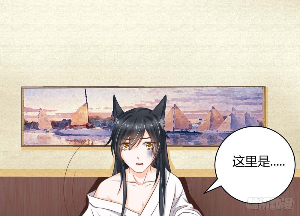 《现世情人是尾狐》我昨晚都做了什么....？ 第41页