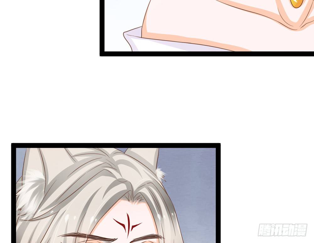 《现世情人是尾狐》我愿意和你一起承担 第31页