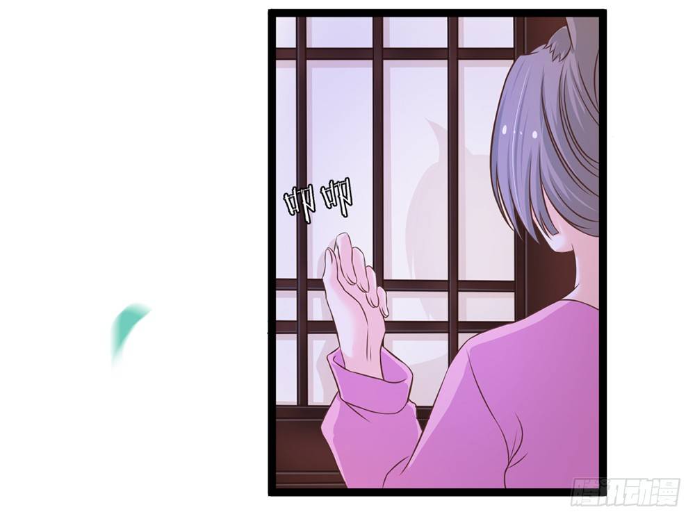 《现世情人是尾狐》输掉的代价是？ 第7页