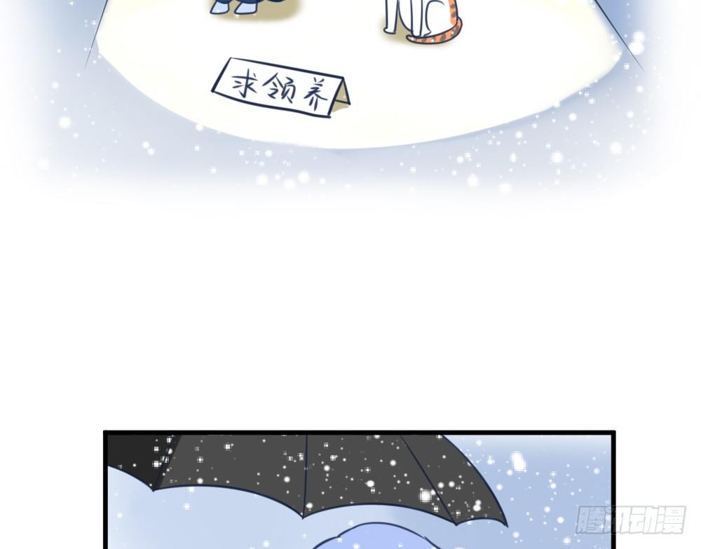 《现世情人是尾狐》番外之青岚小七 第14页