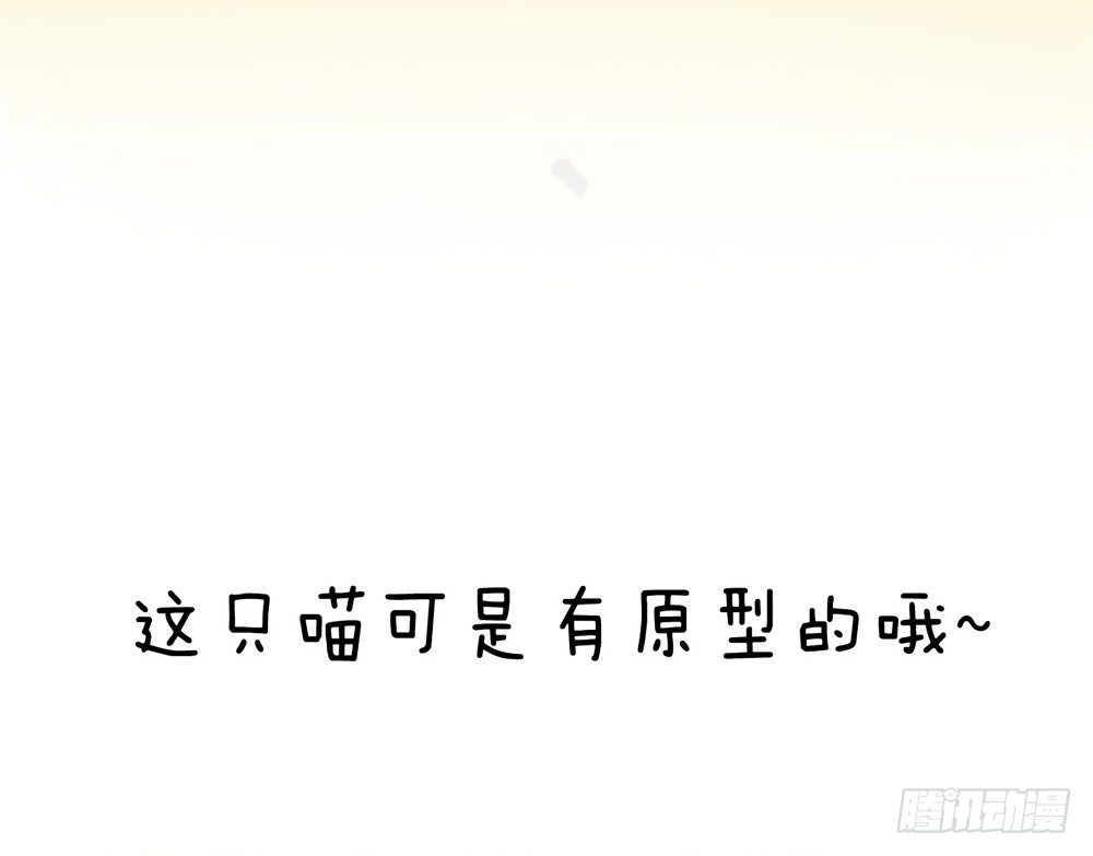 《现世情人是尾狐》番外之青岚小七 第24页