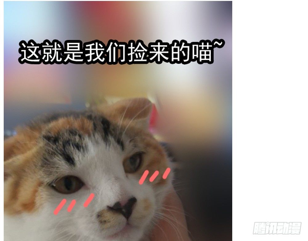 《现世情人是尾狐》番外之青岚小七 第25页