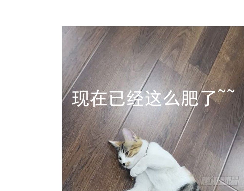 《现世情人是尾狐》番外之青岚小七 第27页