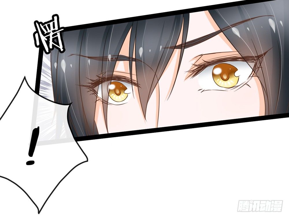 《现世情人是尾狐》求你杀了我 第31页