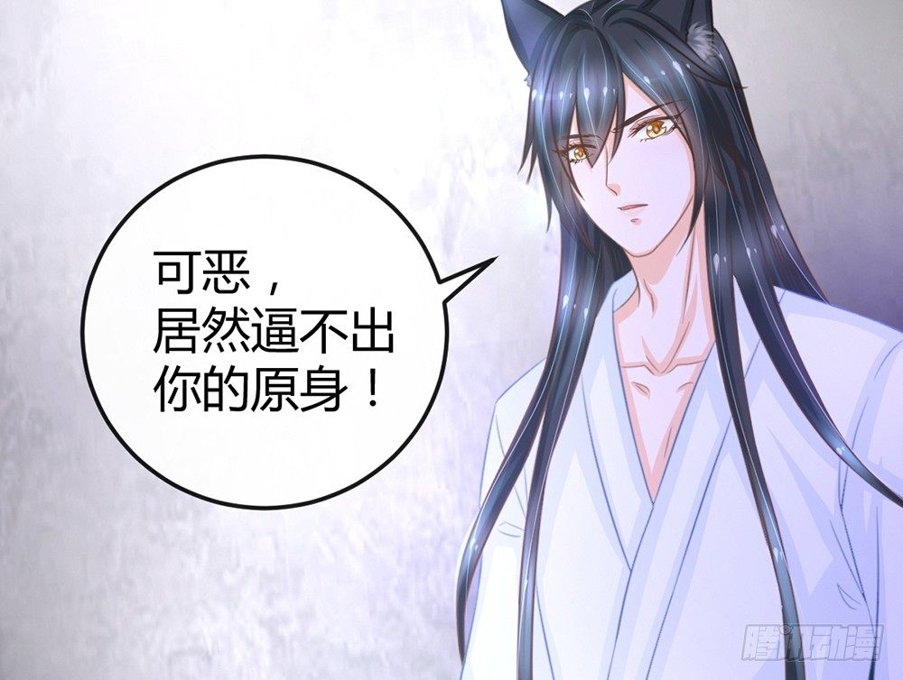 《现世情人是尾狐》求你杀了我 第37页