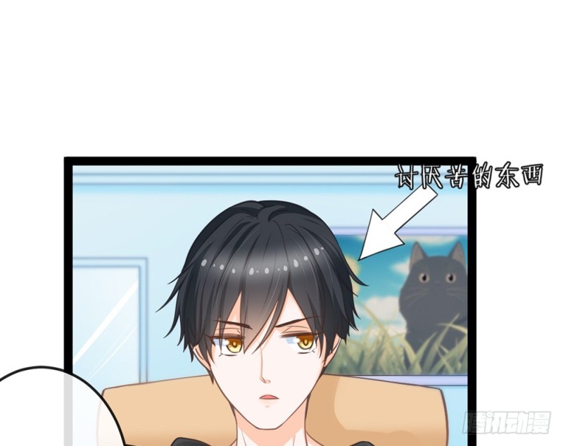 《现世情人是尾狐》今后我们就是邻居了 第19页