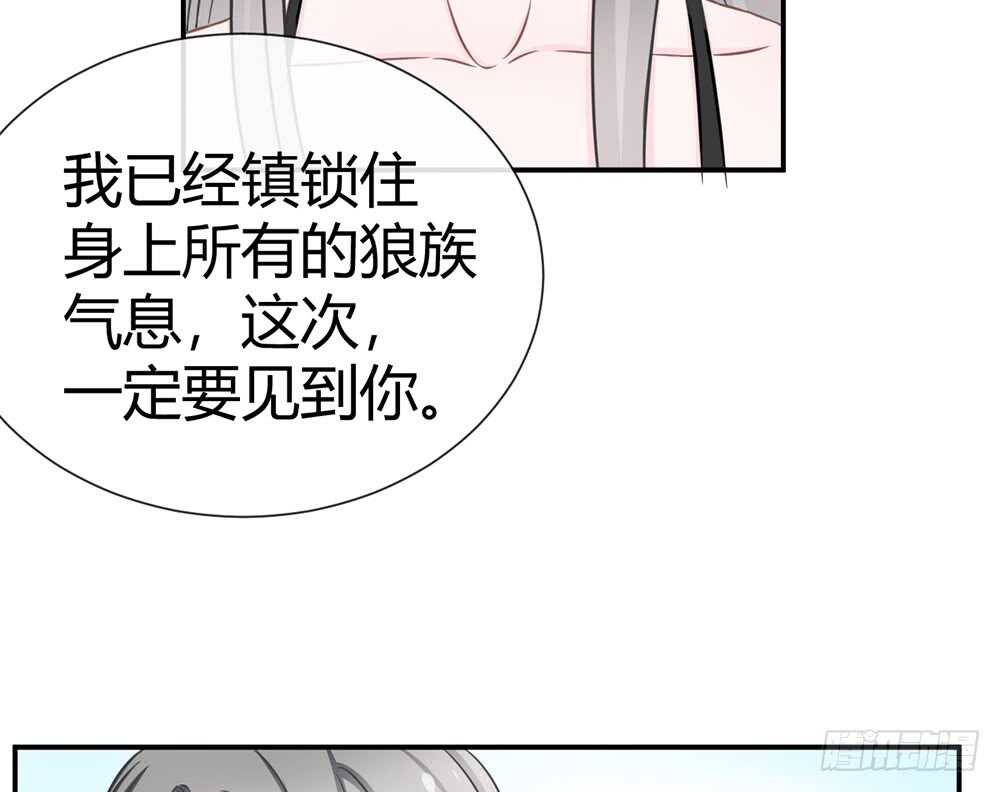 《现世情人是尾狐》小奶狗，你被录取了 第48页