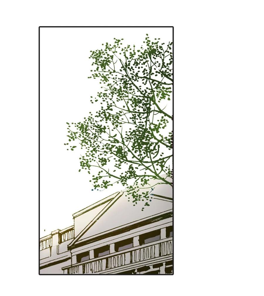 《华年》11 在我身边 第14页