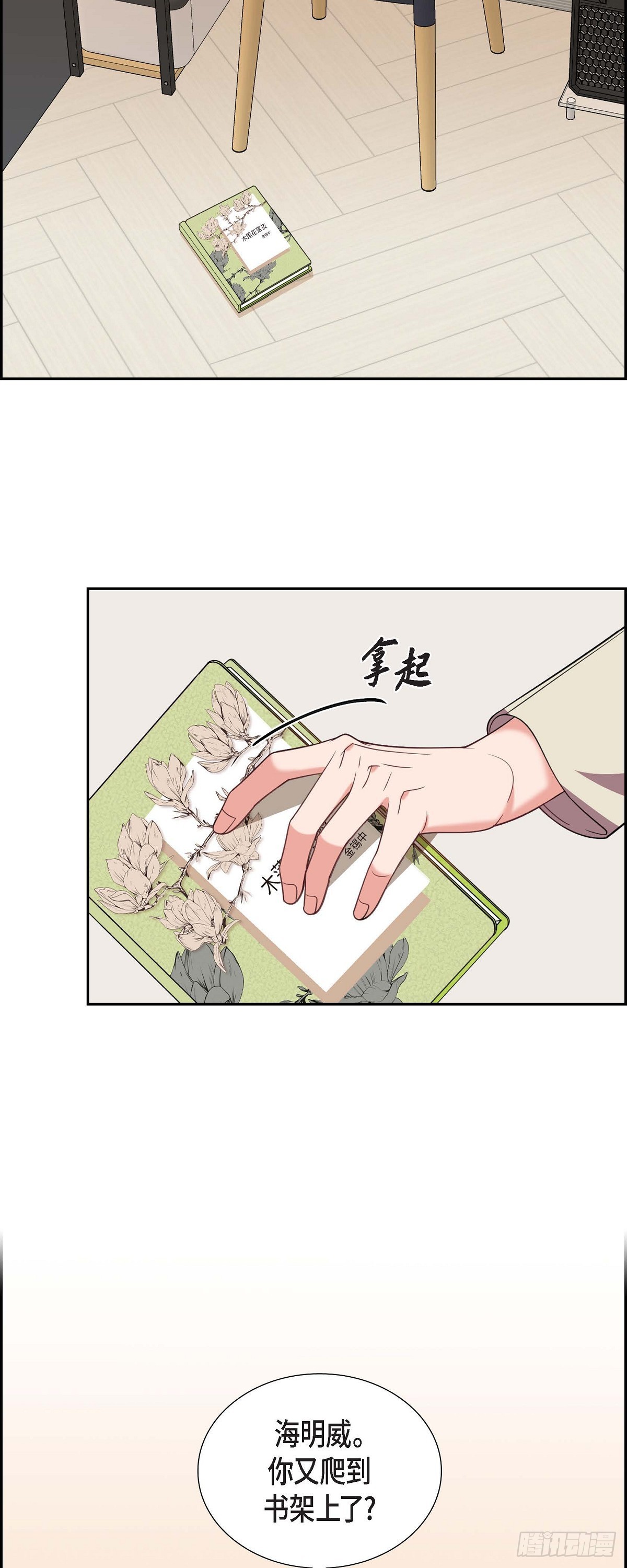 《混沌的爱》015.小猫咪 第2页