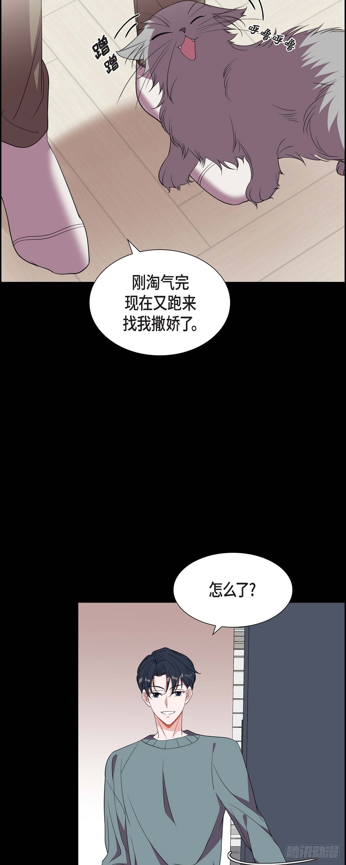 《混沌的爱》015.小猫咪 第5页