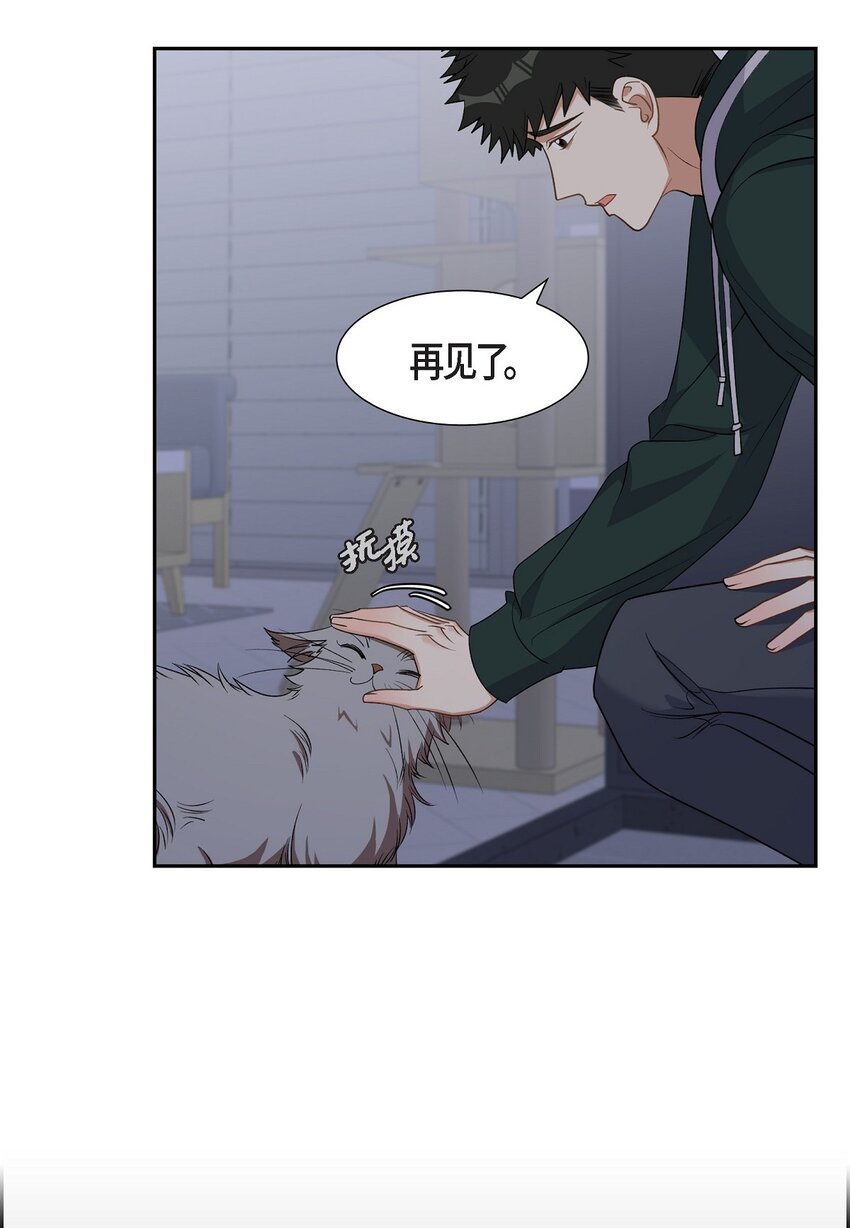 《混沌的爱》41 一直希望是听错了 第45页