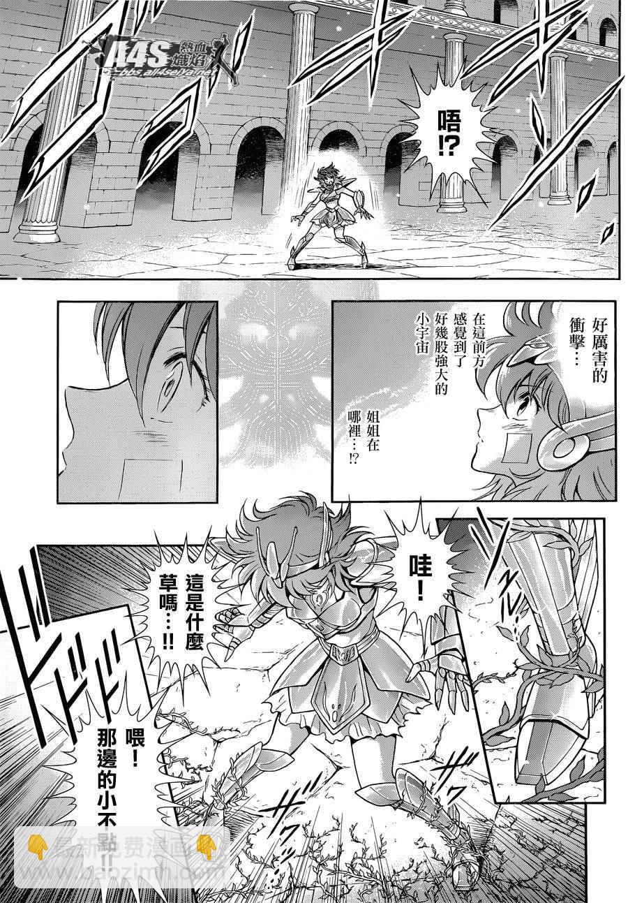 《圣斗士星矢 圣斗少女翔》第30话 第9页