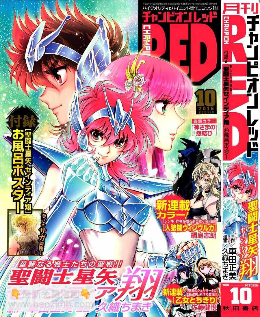 《圣斗士星矢 圣斗少女翔》第37话 第32页