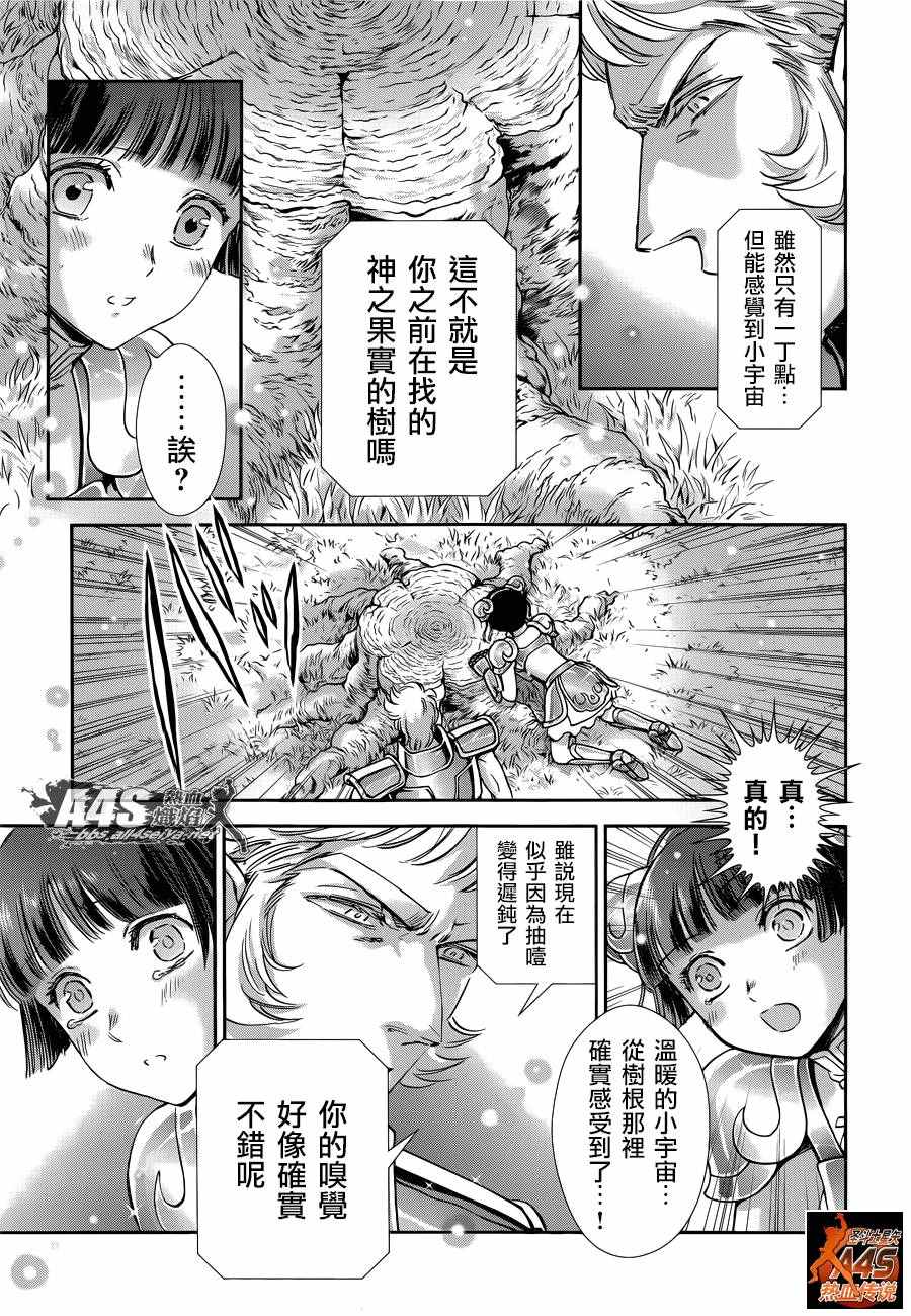 《圣斗士星矢 圣斗少女翔》第41话 彗星雷帕鲁斯 第10页