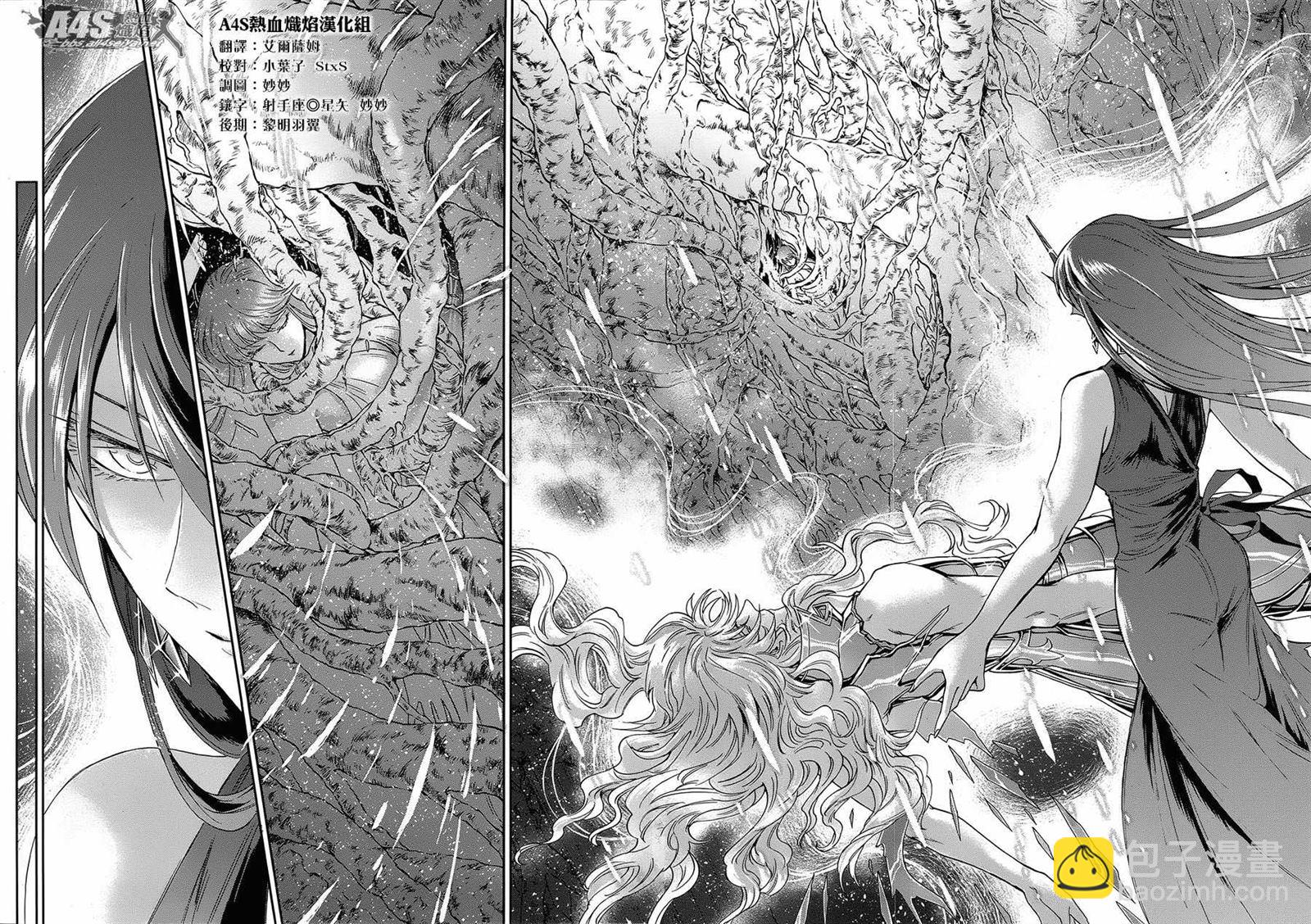 《圣斗士星矢 圣斗少女翔》第53话 天降之物 第11页