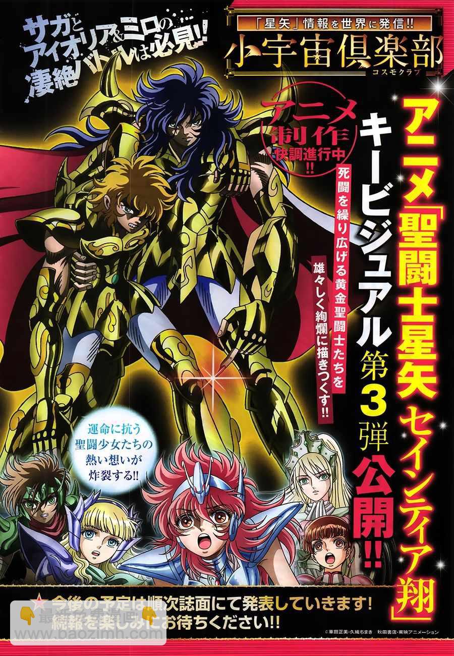 《圣斗士星矢 圣斗少女翔》第53话 天降之物 第25页
