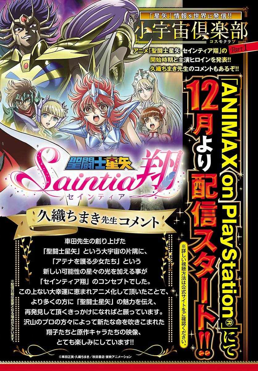 《圣斗士星矢 圣斗少女翔》第58话 悲伤的决意 第4页