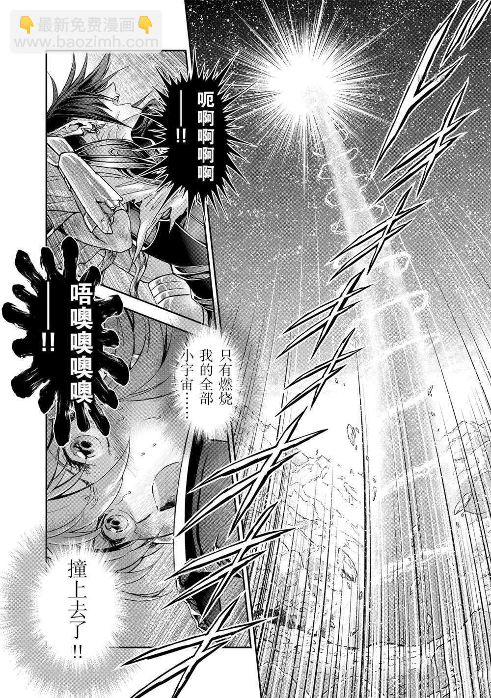 《圣斗士星矢 圣斗少女翔》第67话 第10页