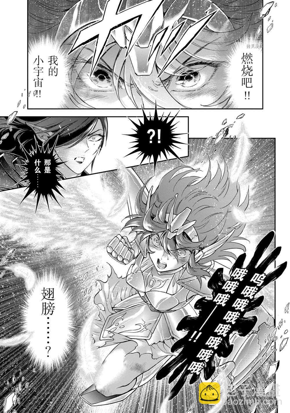 《圣斗士星矢 圣斗少女翔》第66话 第12页