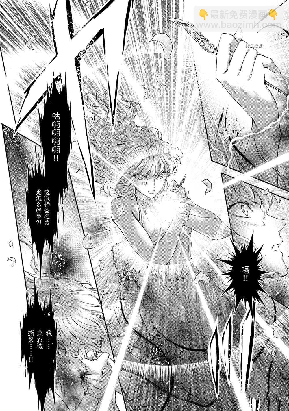 《圣斗士星矢 圣斗少女翔》第71话 第24页
