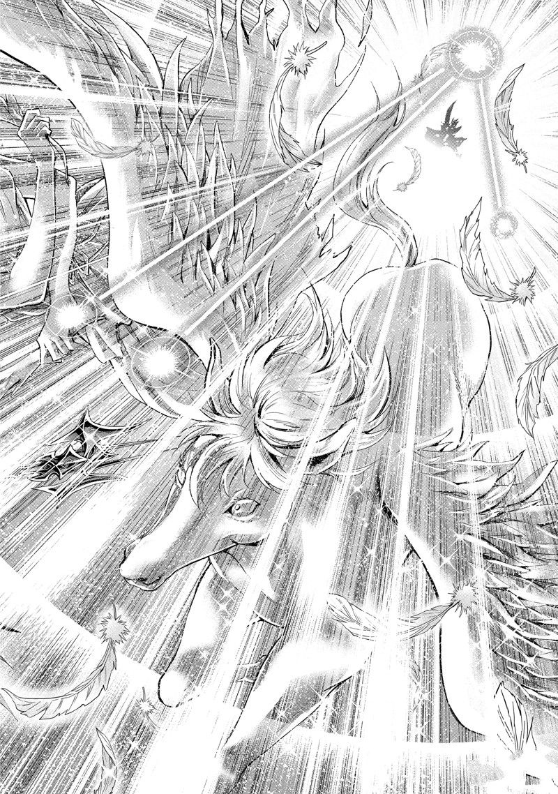 《圣斗士星矢 圣斗少女翔》第86话 最终话 第14页
