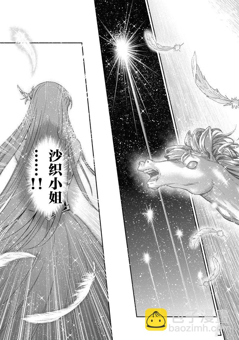 《圣斗士星矢 圣斗少女翔》第86话 最终话 第42页