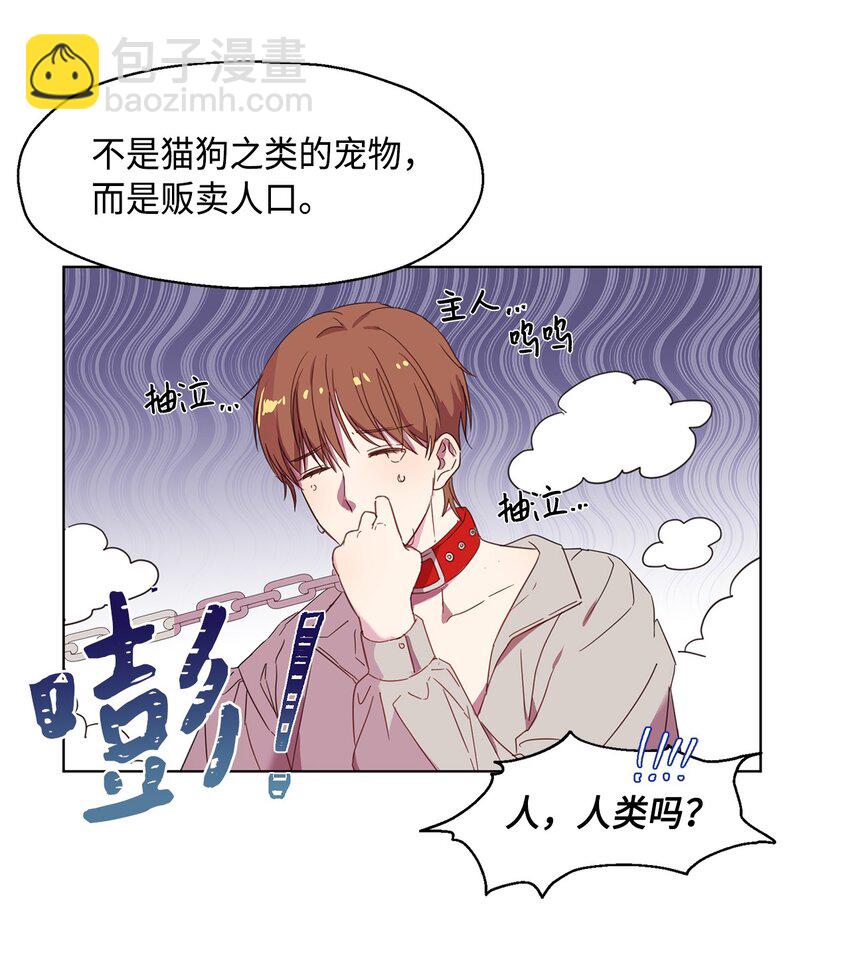 《伯爵之女驯服皇帝心腹的方法》4 贩卖会 第14页