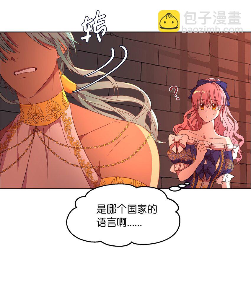 《伯爵之女驯服皇帝心腹的方法》4 贩卖会 第45页