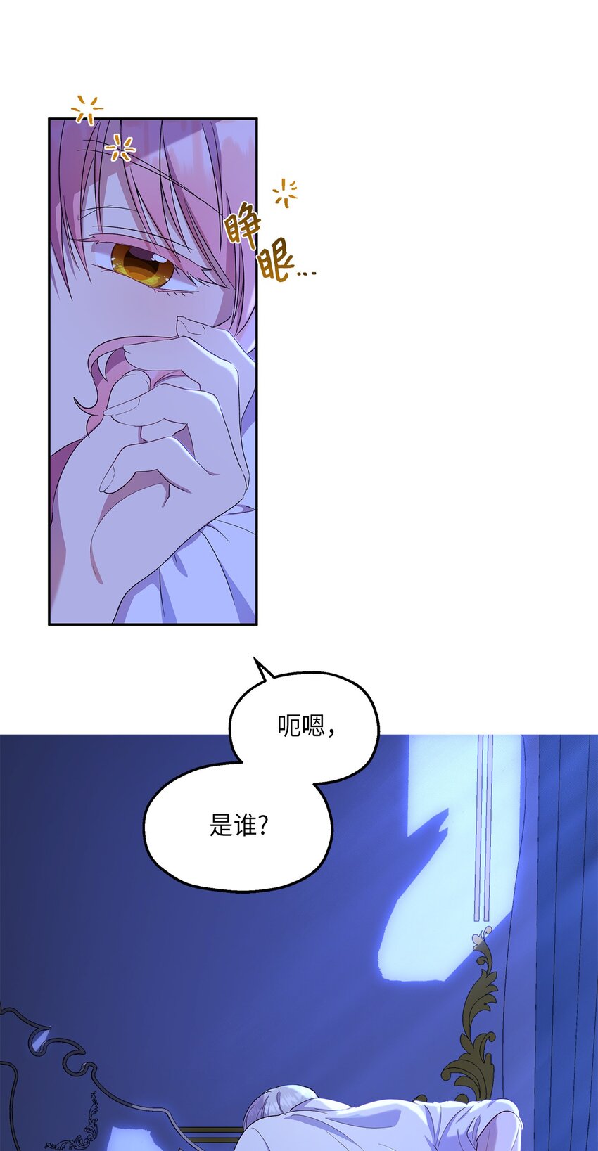《伯爵之女驯服皇帝心腹的方法》20 夜间调查 第22页