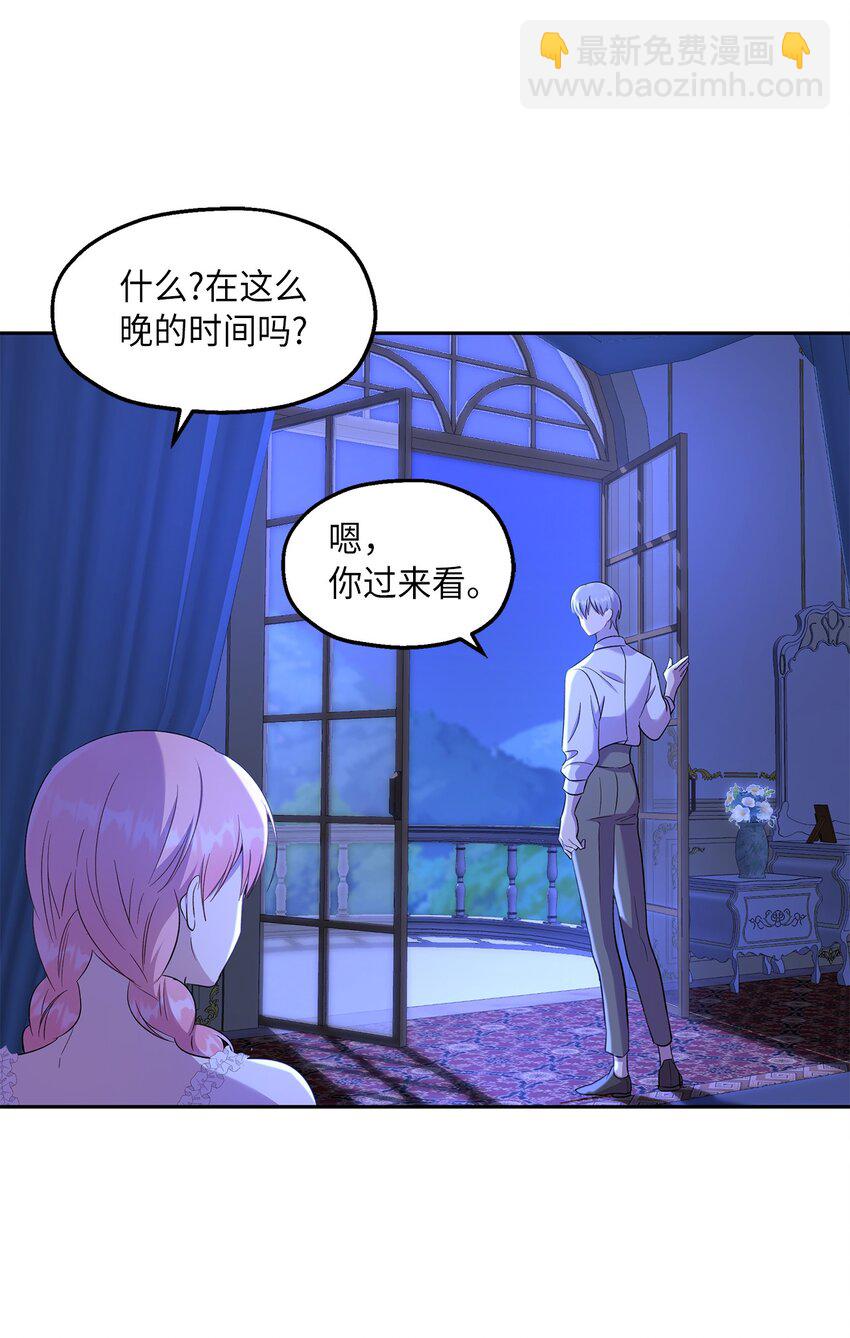 《伯爵之女驯服皇帝心腹的方法》20 夜间调查 第27页