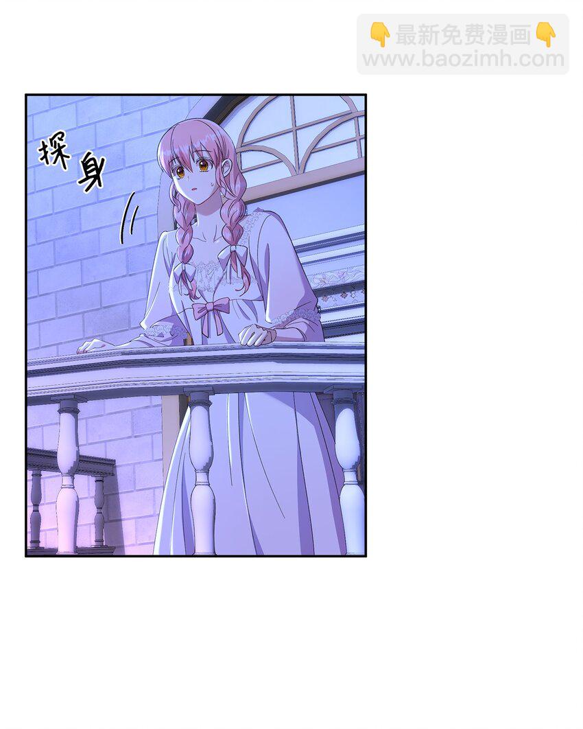 《伯爵之女驯服皇帝心腹的方法》20 夜间调查 第29页