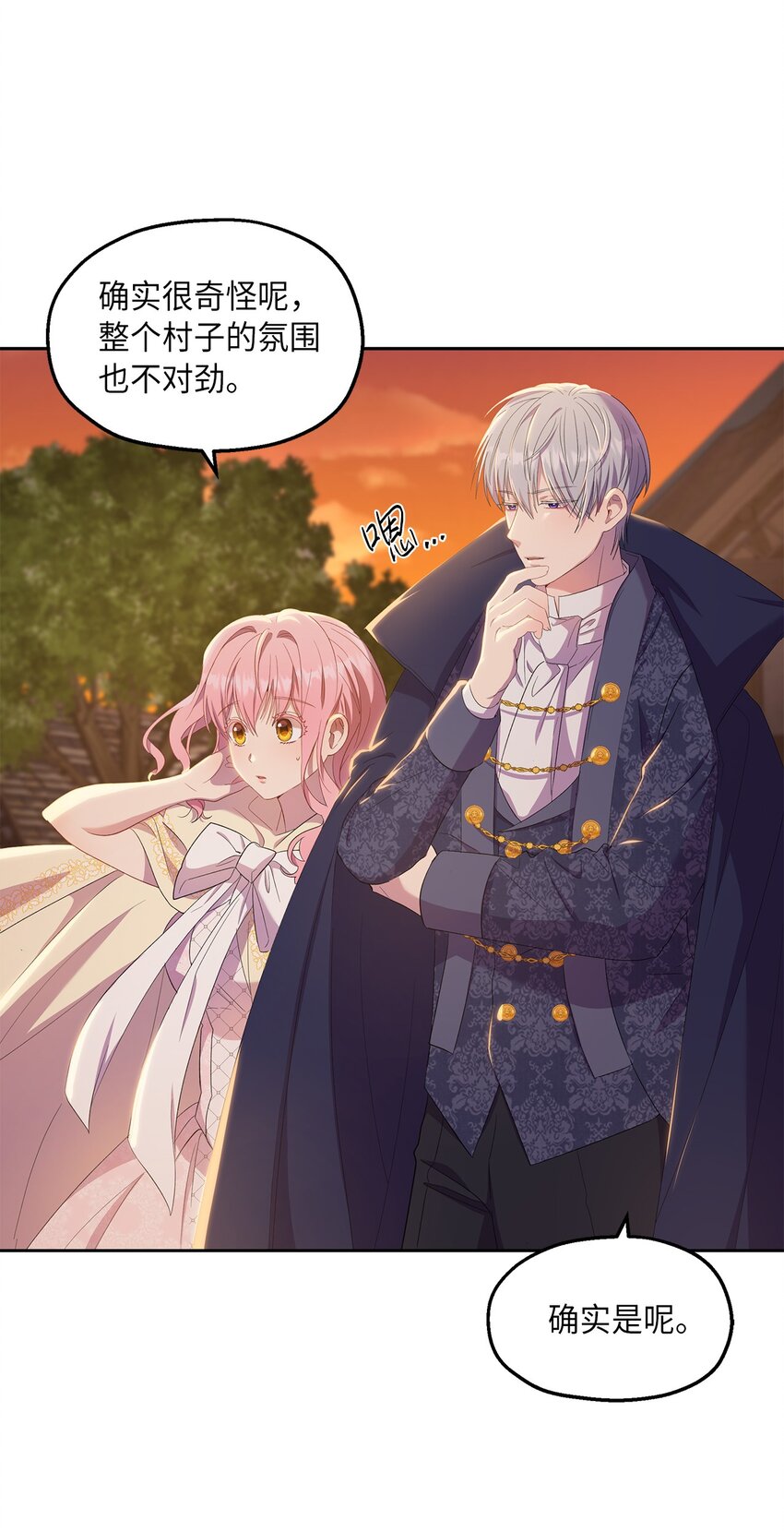《伯爵之女驯服皇帝心腹的方法》20 夜间调查 第2页