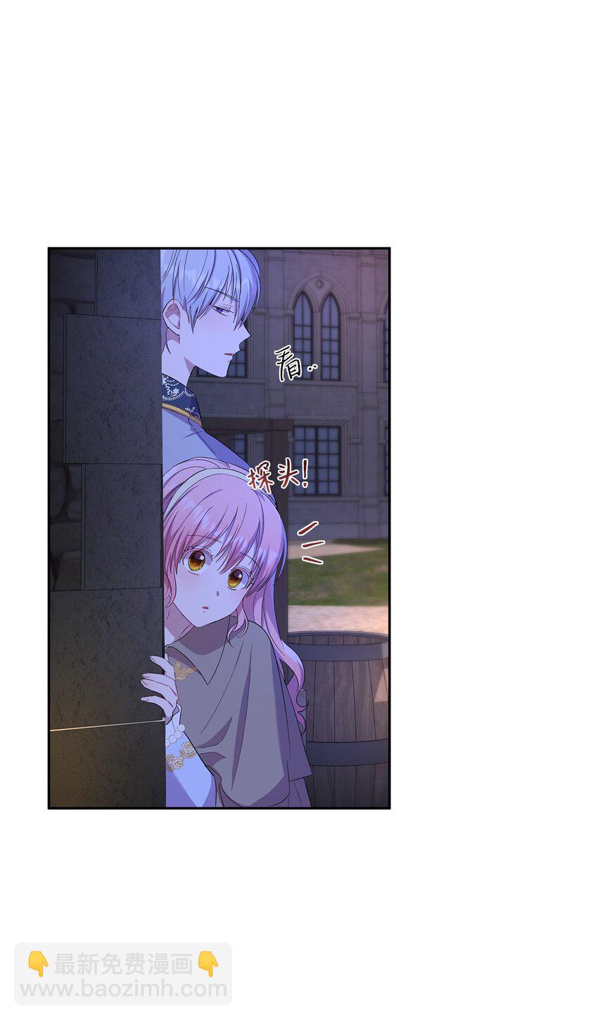 《伯爵之女驯服皇帝心腹的方法》20 夜间调查 第38页