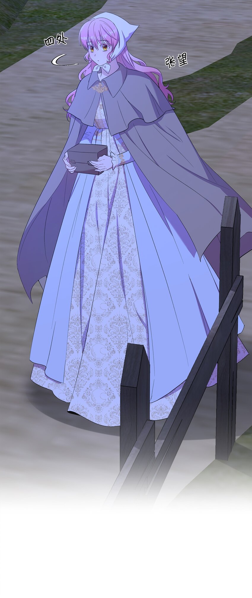 《伯爵之女驯服皇帝心腹的方法》20 夜间调查 第48页