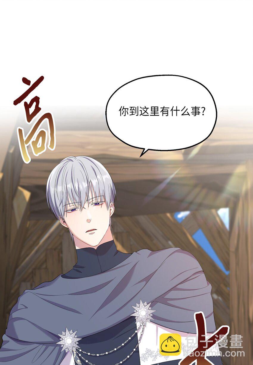 《伯爵之女驯服皇帝心腹的方法》22 共同任务 第5页