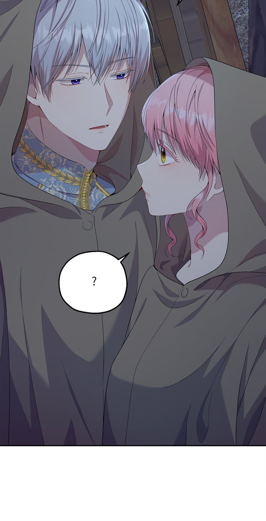 《伯爵之女驯服皇帝心腹的方法》23 没有希望的梦 第11页