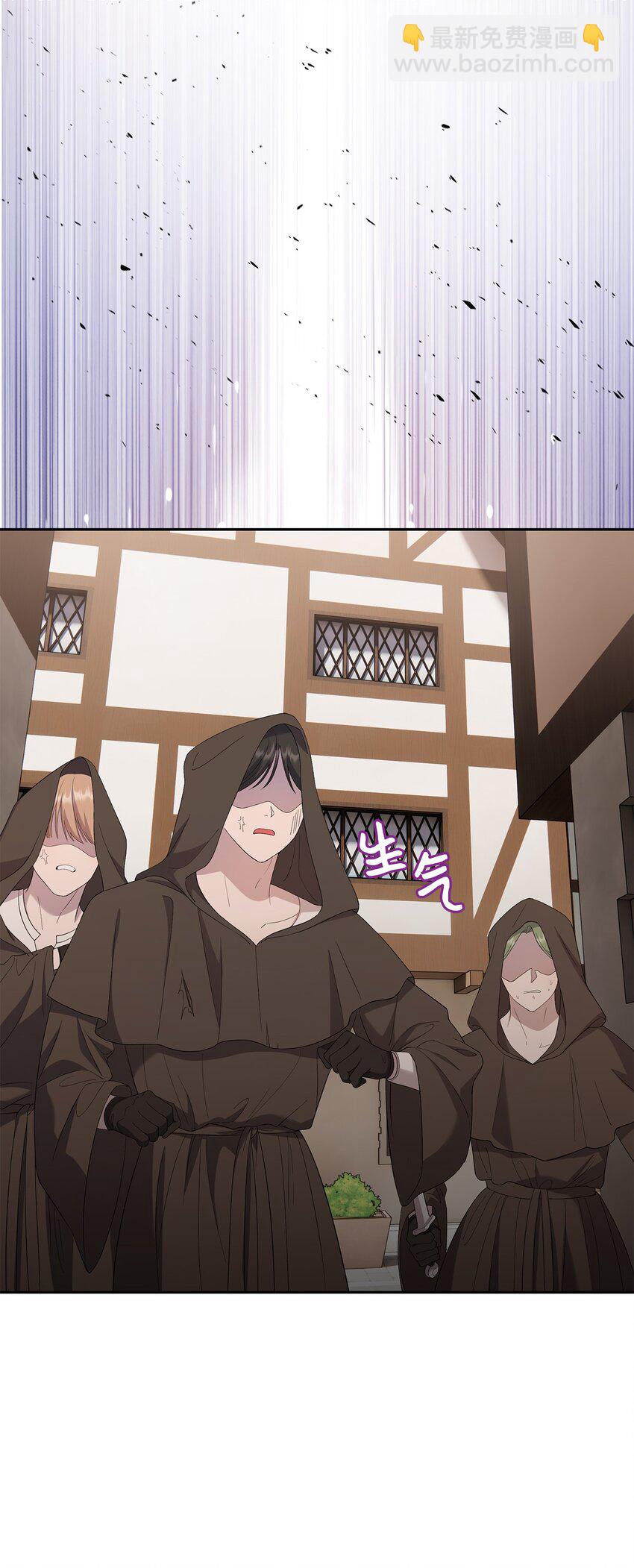 《伯爵之女驯服皇帝心腹的方法》32 皇子好心助攻 第8页