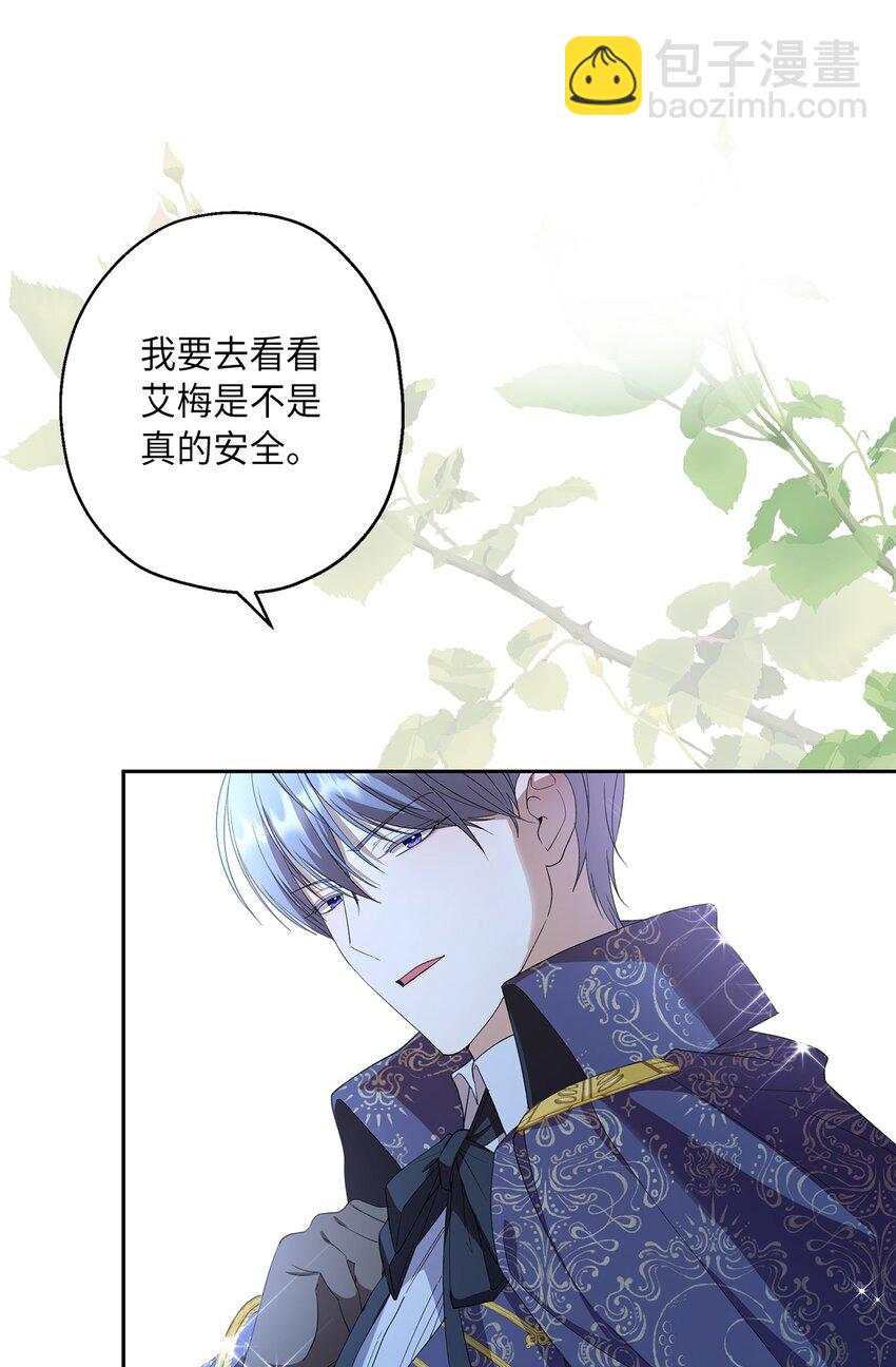 《伯爵之女驯服皇帝心腹的方法》35 艾梅被掳 第23页