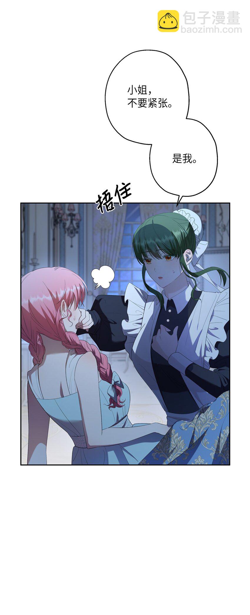 《伯爵之女驯服皇帝心腹的方法》35 艾梅被掳 第5页