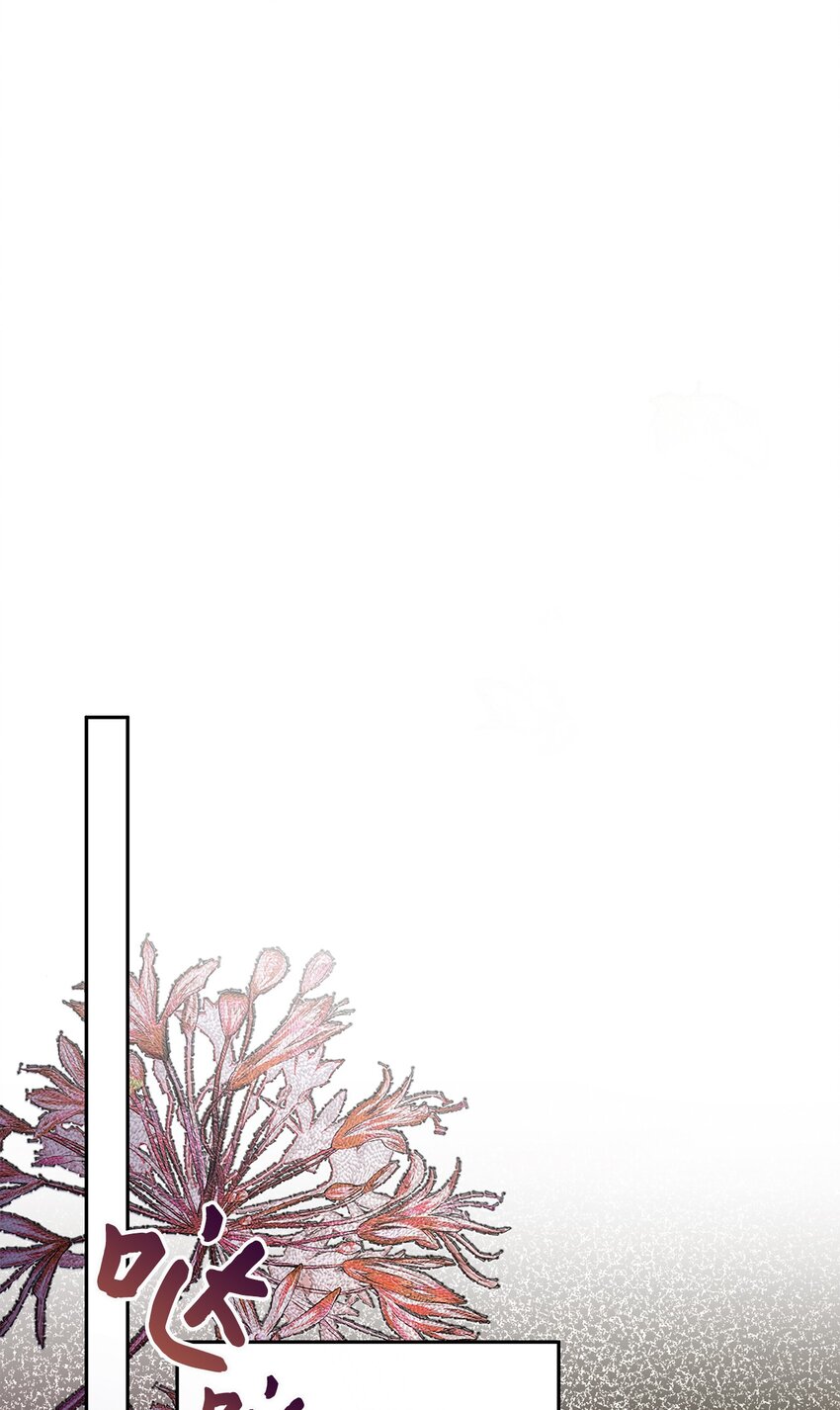 《伯爵之女驯服皇帝心腹的方法》37 完美的女神 第11页