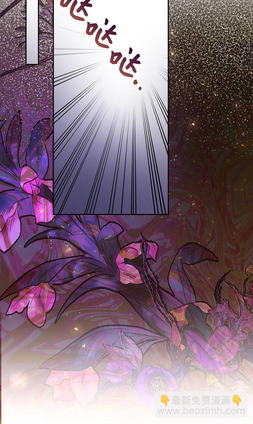 《伯爵之女驯服皇帝心腹的方法》37 完美的女神 第12页