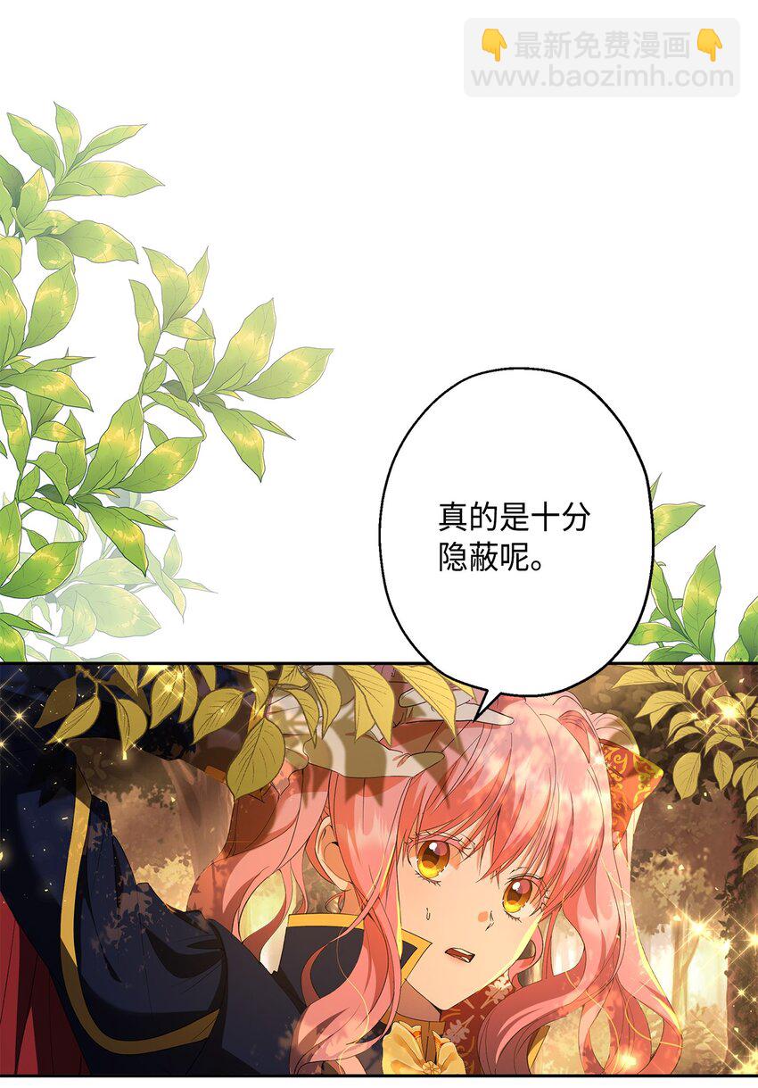 《伯爵之女驯服皇帝心腹的方法》40 幕后黑手 第3页
