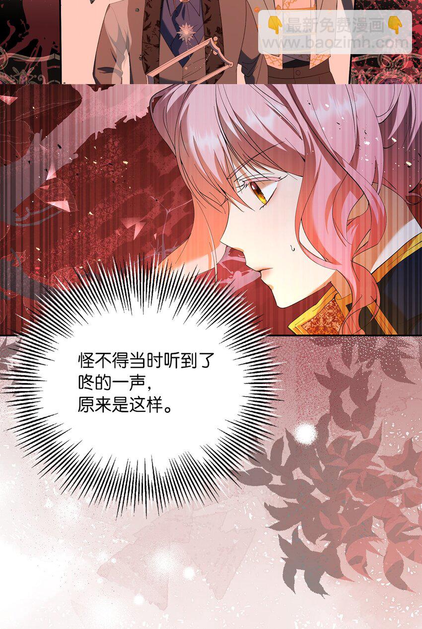 《伯爵之女驯服皇帝心腹的方法》40 幕后黑手 第9页